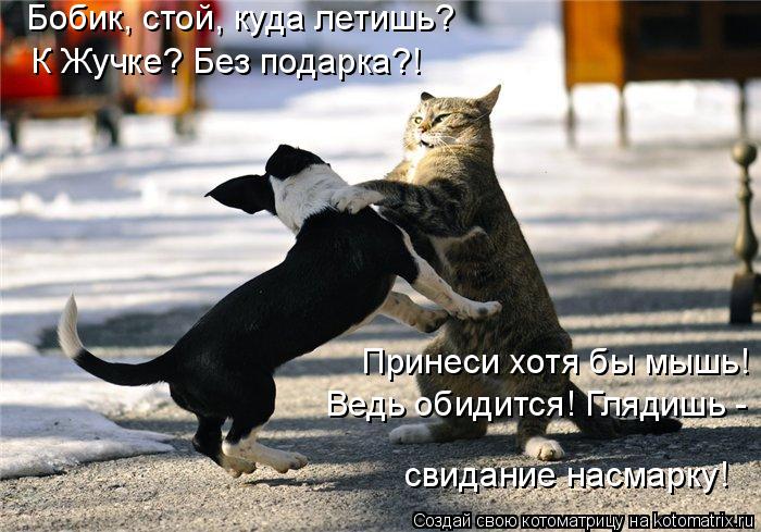 Бобик, стой, куда летишь? К Жучке? Без подарка?! Принеси хотя бы мышь! Ведь обидится! Глядишь - сви... Котоматрица: Бобик, стой, куда летишь? К Жучке? Без подарка?! Принеси хотя бы мышь! Ведь обидится! Глядишь - свидание насмарку!