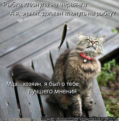 Котоматрица: Рыбка клюнула на червячка... А я, значит, должен клюнуть на рыбку? Мда...хозяин, я был о тебе лучшего мнения