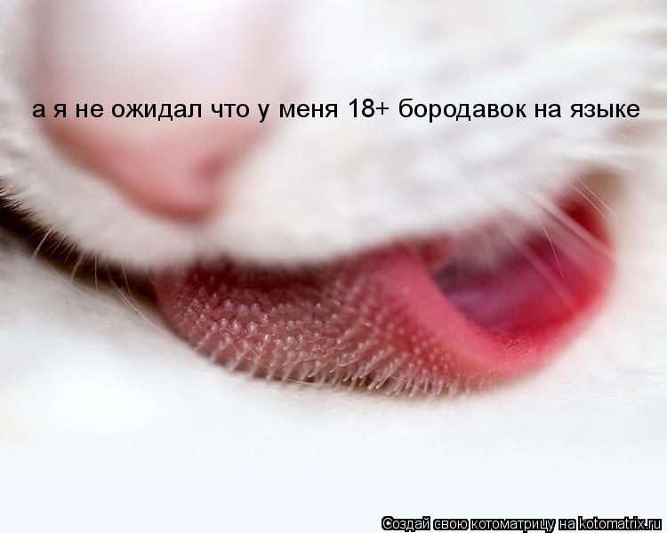 Котоматрица: а я не ожидал что у меня 18+ бородавок на языке