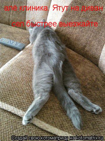 Котоматрица: алё клиника. Ятут на диван    сел.быстрее выезжайте