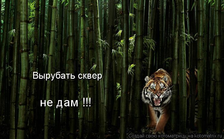 Котоматрица: Вырубать сквер не дам !!!