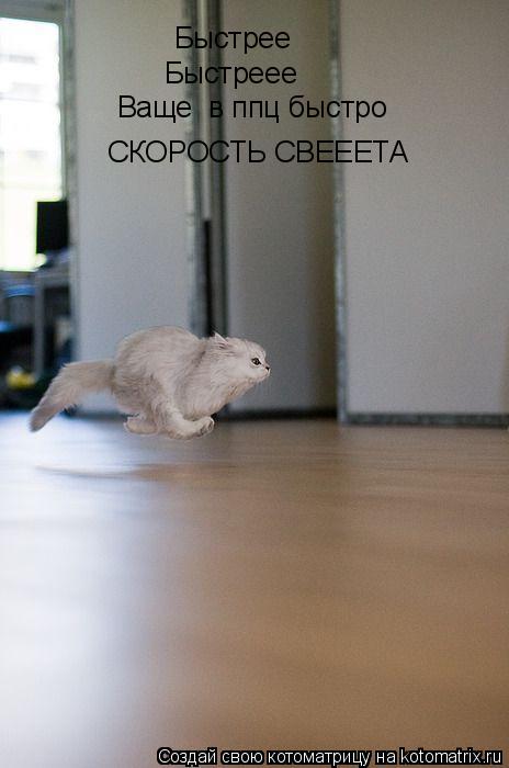 Котоматрица: Быстрее Быстреее Ваще  в ппц быстро СКОРОСТЬ СВЕЕЕТА