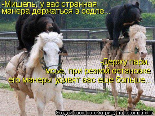 Котоматрица: -Мишель, у вас странная  манера держаться в седле... -Держу пари,  мсье, при резкой остановке его манеры удивят вас еще больше...