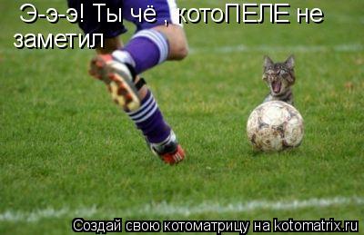Котоматрица: Э-э-э! Ты чё , котоПЕЛЕ не        заметил      заметил
