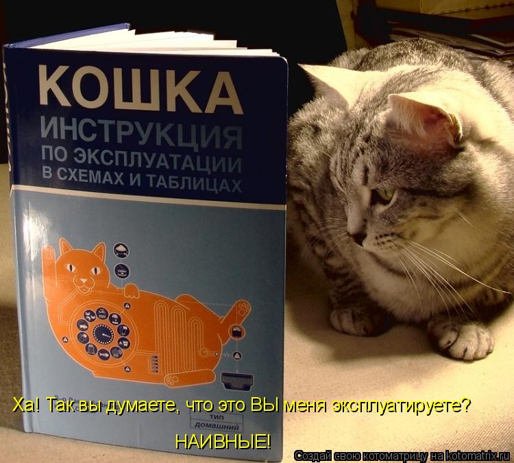 Котоматрица: Ха! Так вы думаете, что это ВЫ меня эксплуатируете? НАИВНЫЕ!