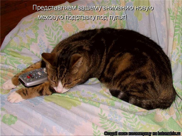 Котоматрица: Представляем вашему вниманию новую  меховую подставку под пульт!
