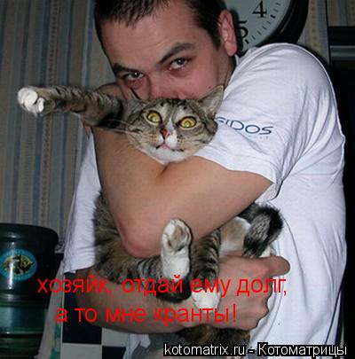 Котоматрица: хозяйк, отдай ему долг,  а то мне кранты!