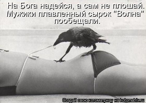 На Бога надейся, а сам не плошай. Мужики плавленный сырок "Волна" пообещали.... Котоматрица: На Бога надейся, а сам не плошай. Мужики плавленный сырок "Волна" пообещали.