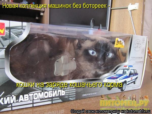 Котоматрица: Новая коллекция машинок без ботореек -  кошки на заряде кошачьего корма