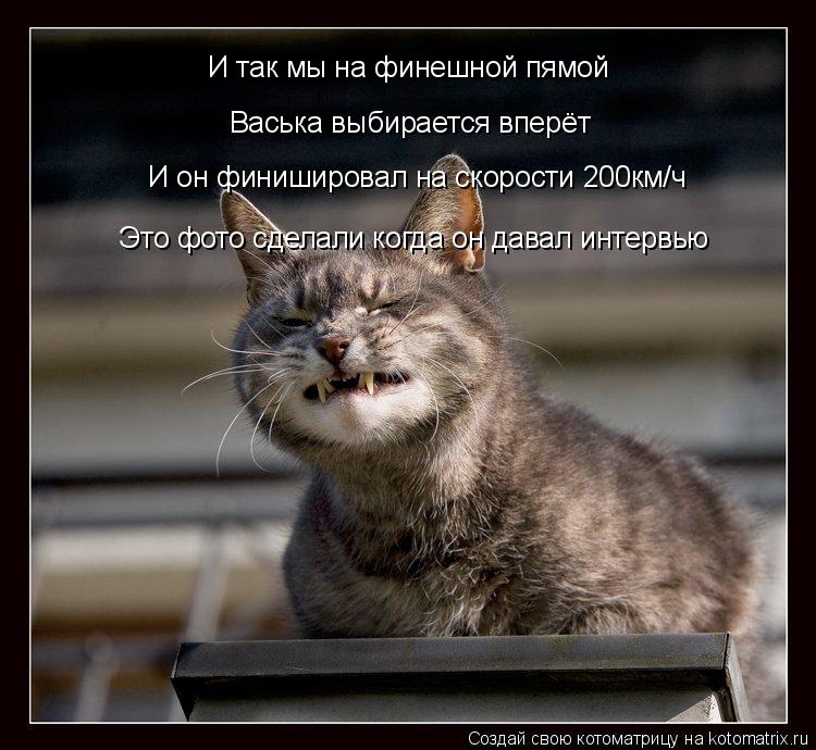 Котоматрица: И так мы на финешной пямой Васька выбирается вперёт И он финишировал на скорости 200км/ч  Это фото сделали когда он давал интервью
