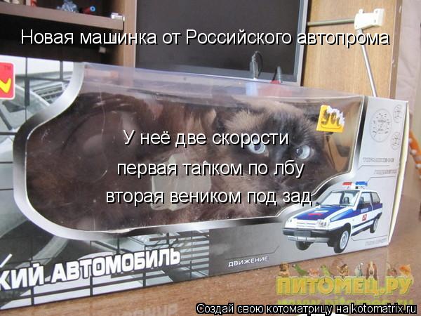 Котоматрица: Новая машинка от Российского автопрома У неё две скорости  первая тапком по лбу  вторая веником под зад