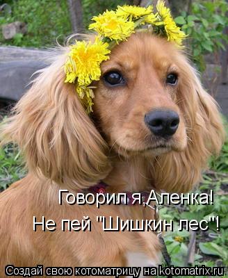 Котоматрица: Говорил я,Аленка! Не пей "Шишкин лес"!