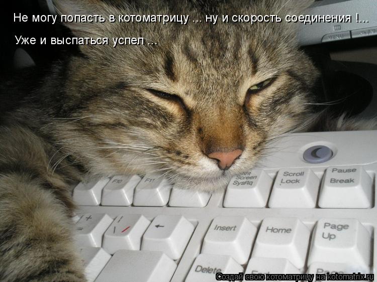 Не могу попасть в котоматрицу ... ну и скорость соединения !... Уже и выспаться успел ...... Котоматрица: Не могу попасть в котоматрицу ... ну и скорость соединения !... Уже и выспаться успел ...