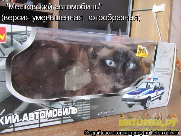 "Ментовский автомобиль" (версия уменьшенная, котообразная)... Котоматрица: "Ментовский автомобиль" (версия уменьшенная, котообразная)