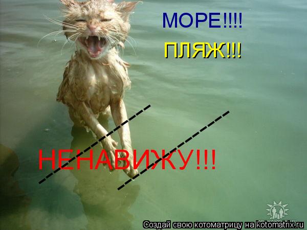 МОРЕ!!!! ПЛЯЖ!!! НЕНАВИЖУ!!! --------------- ---------------... Котоматрица: МОРЕ!!!! ПЛЯЖ!!! НЕНАВИЖУ!!! --------------- ---------------
