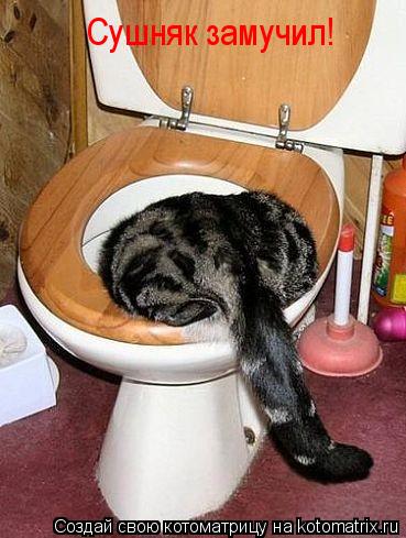 Котоматрица: Сушняк замучил!