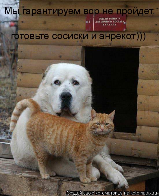 Котоматрица: Мы гарантируем вор не пройдет, готовьте сосиски и анрекот)))