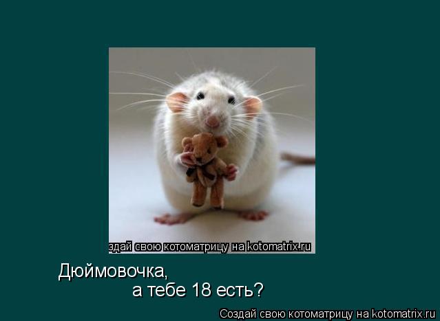 Котоматрица: Дюймовочка,  а тебе 18 есть?