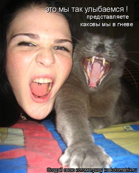 Котоматрица: это мы так улыбаемся ! представляете  каковы мы в гневе