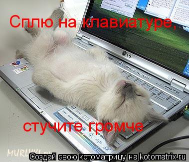 Котоматрица: Сплю на клавиатуре,  стучите громче