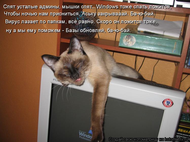 Котоматрица: Спят усталые админы, мышки спят.. Windоws тоже спать ложится,  Чтобы ночью нам присниться, Аську закрывааай. Ба-ю-бай. Вирус лазает по папкам, всe 