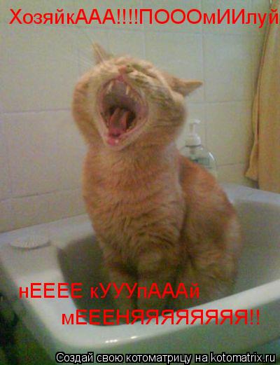 Котоматрица: ХозяйкААА!!!!ПОООмИИлуй нЕЕЕЕ кУУУпАААй  мЕЕЕНЯЯЯЯЯЯЯЯ!!