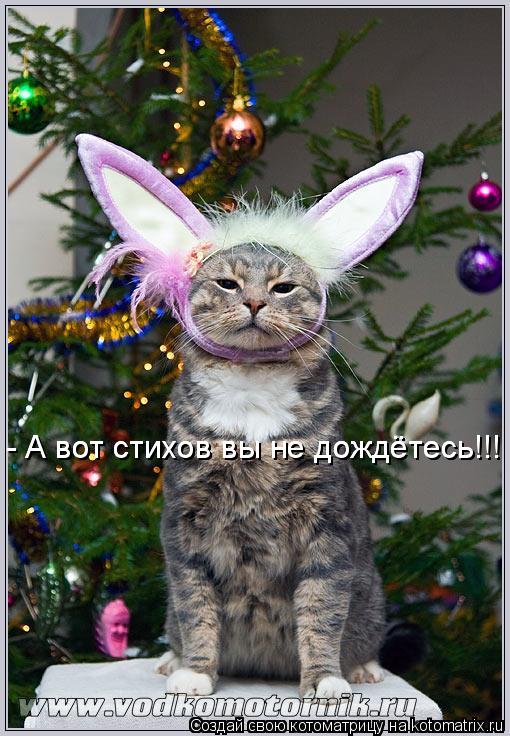 - А вот стихов вы не дождётесь!!! - А вот стихов вы не дождётесь!!!... Котоматрица: - А вот стихов вы не дождётесь!!! - А вот стихов вы не дождётесь!!!