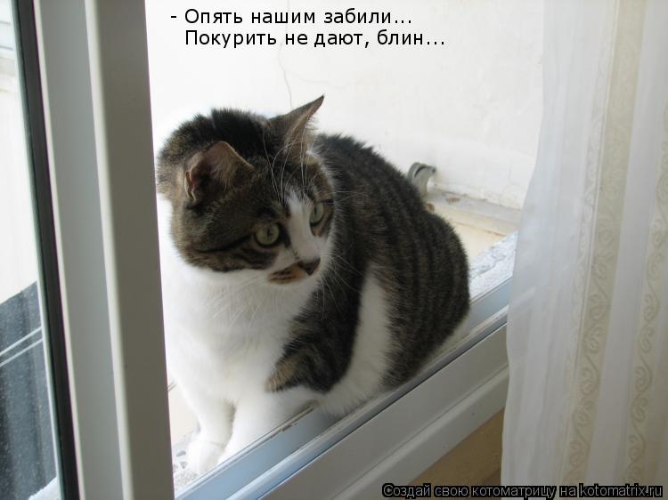 Котоматрица: - Опять нашим забили... Покурить не дают, блин...