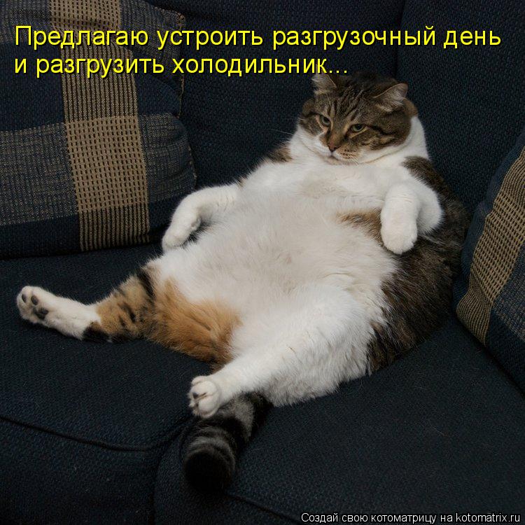 Котоматрица: Предлагаю устроить разгрузочный день и разгрузить холодильник...