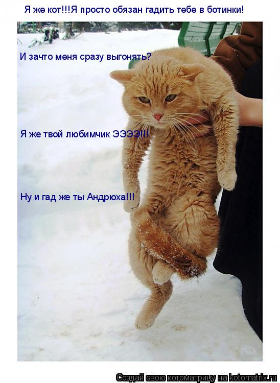 Котоматрица: Я же кот!!!Я просто обязан гадить тебе в ботинки! И зачто меня сразу выгонять? Я же твой любимчик ЭЭЭЭ!!! Ну и гад же ты Андрюха!!!