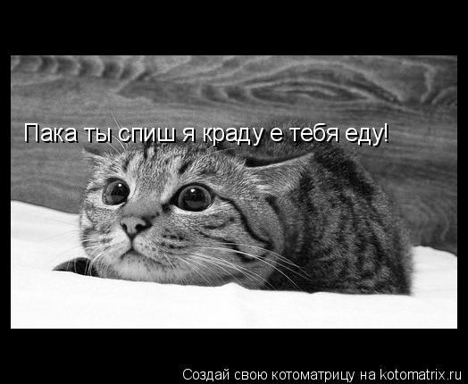 Котоматрица: Пака ты спиш я краду e тебя еду!