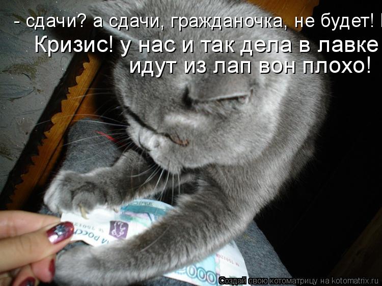 Котоматрица: - сдачи? а сдачи, гражданочка, не будет! Кризис! у нас и так дела в лавке идут из лап вон плохо Кризис! у нас и так дела в лавке идут из лап вон пл
