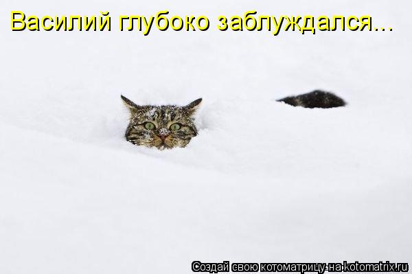 Василий глубоко заблуждался...... Котоматрица: Василий глубоко заблуждался...