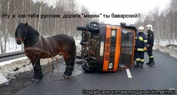 Котоматрица: -Ну  и  как тебе русские  дороги,"мерин" ты баварский!!