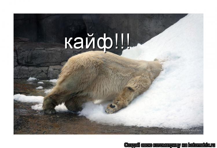 Котоматрица: кайф!!!