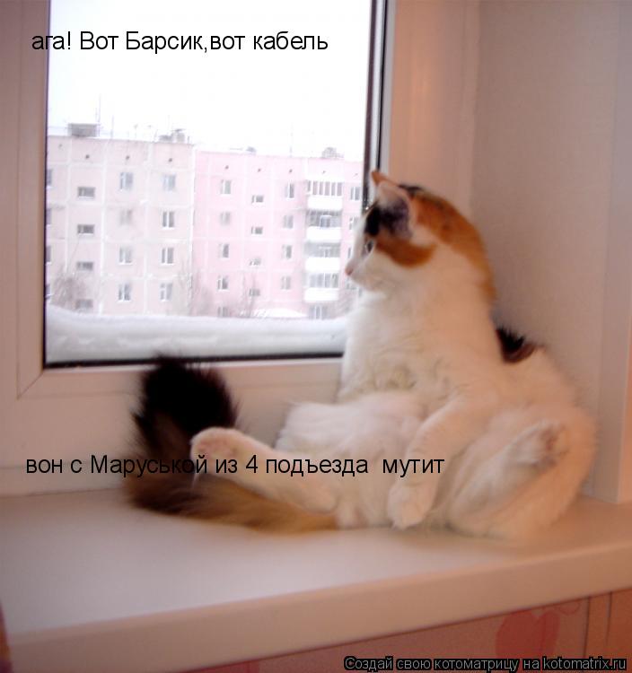 Котоматрица: ага! Вот Барсик,вот кабель  вон с Маруськой из 4 подъезда  мутит