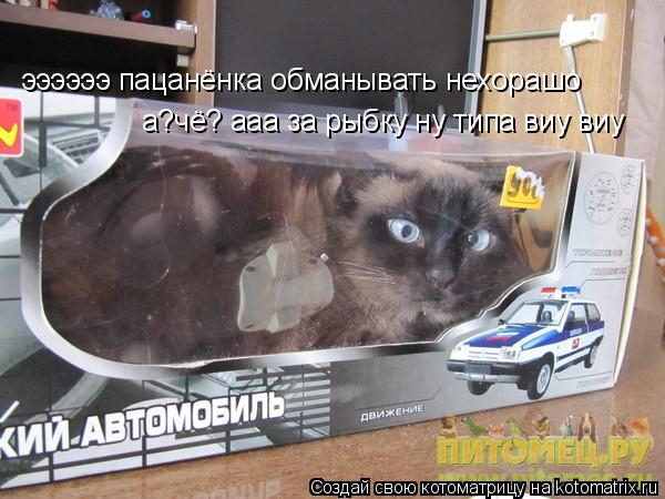 Котоматрица: ээээээ пацанёнка обманывать нехорашо а?чё? ааа за рыбку ну типа виу виу