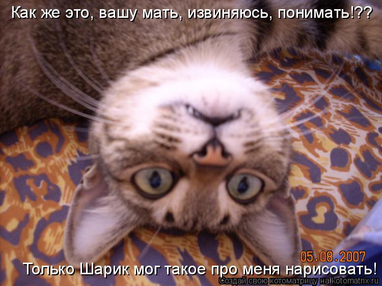 Котоматрица: Как же это, вашу мать, извиняюсь, понимать!?? Только Шарик мог такое про меня нарисовать!