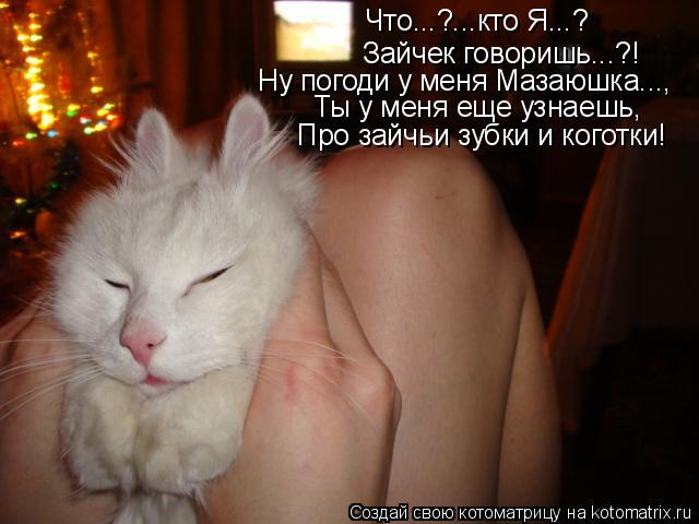 Котоматрица: Что...?...кто Я...? Зайчек говоришь...?! Ну погоди у меня Мазаюшка..., Ты у меня еще узнаешь,  Про зайчьи зубки и коготки!