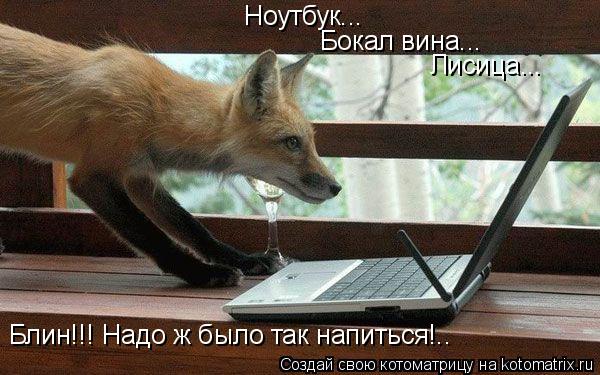 Котоматрица: Ноутбук... Бокал вина... Лисица... Блин!!! Надо ж было так напиться!..