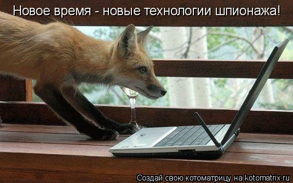 Котоматрица: Новое время - новые технологии шпионажа!
