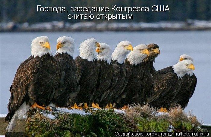 Господа, заседание Конгресса США считаю открытым... Котоматрица: Господа, заседание Конгресса США считаю открытым