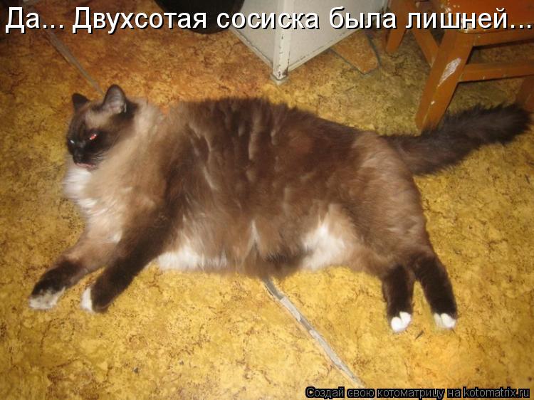 Котоматрица: Да... Двухсотая сосиска была лишней...