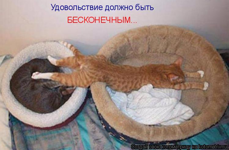 Котоматрица: Удовольствие должно быть БЕСКОНЕЧНЫМ...