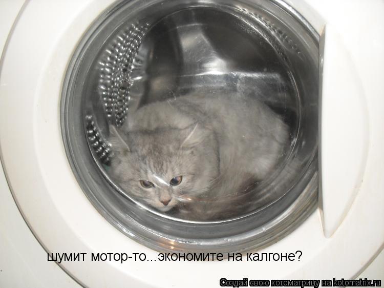Котоматрица: шумит мотор-то...экономите на калгоне?