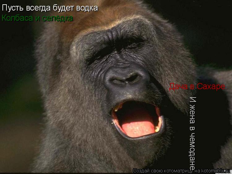 Котоматрица: Пусть всегда будет водка Колбаса и селёдка Дача в Сахаре И жена в чемодане