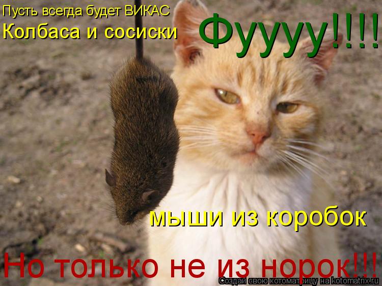 Котоматрица: Пусть всегда будет ВИКАС Колбаса и сосиски мыши из коробок Но только не из норок!!! Фуууу!!!!