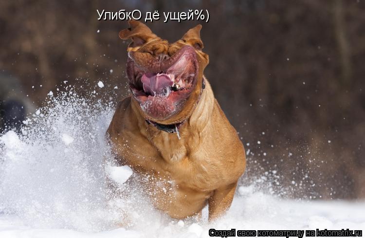 Котоматрица: УлибкО дё ущей%)