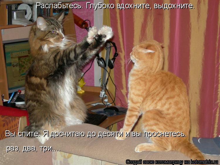 Котоматрица: Раслабьтесь. Глубоко вдохните, выдохните. Вы спите. Я досчитаю до десяти и вы проснетесь. раз, два, три....