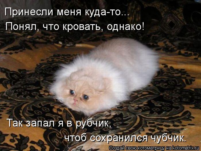 Котоматрица: Принесли меня куда-то... Понял, что кровать, однако! Так запал я в рубчик, чтоб сохранился чубчик.